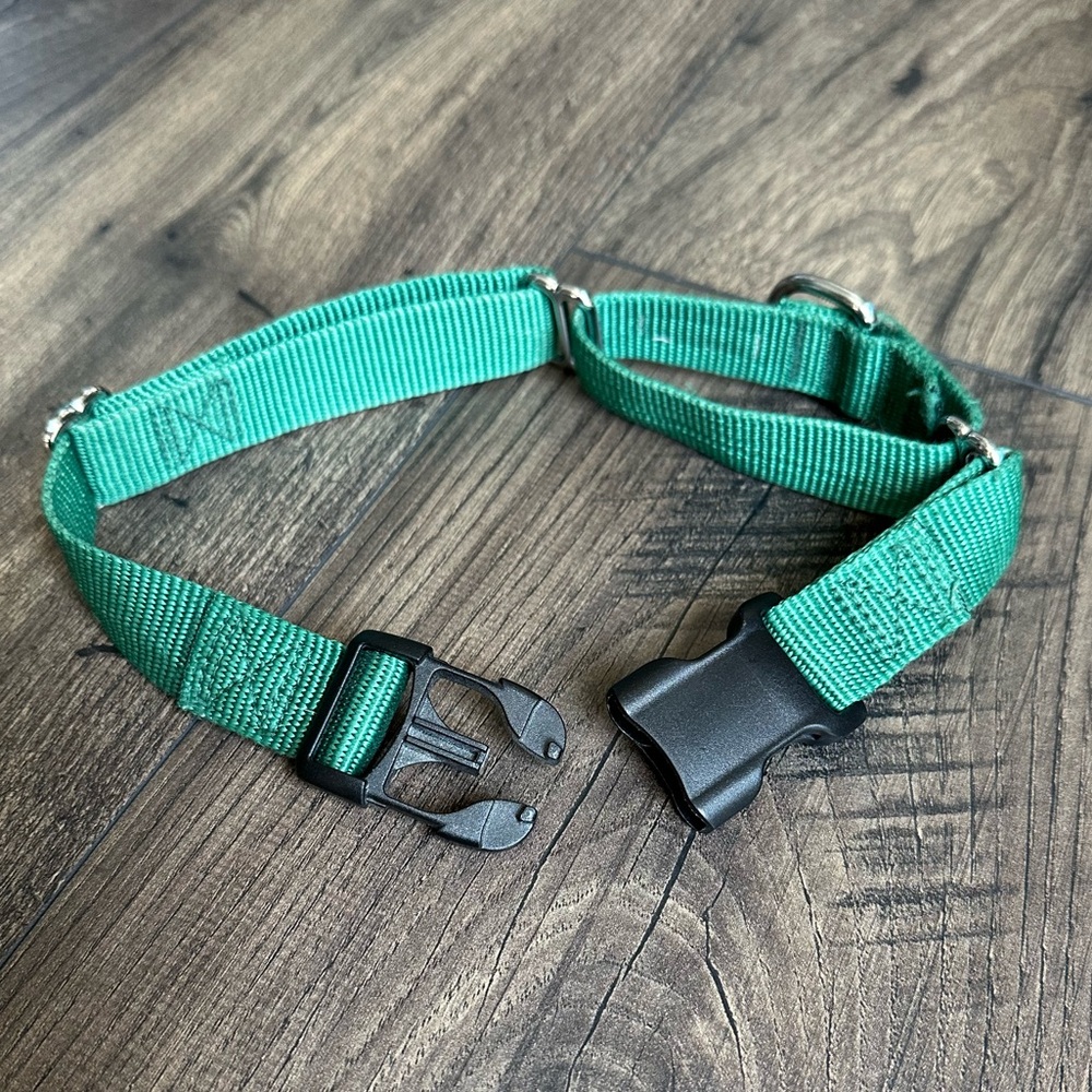 gogo Martingale Green Dog Collar & Plaid Bandana - Picture 3 of 5
